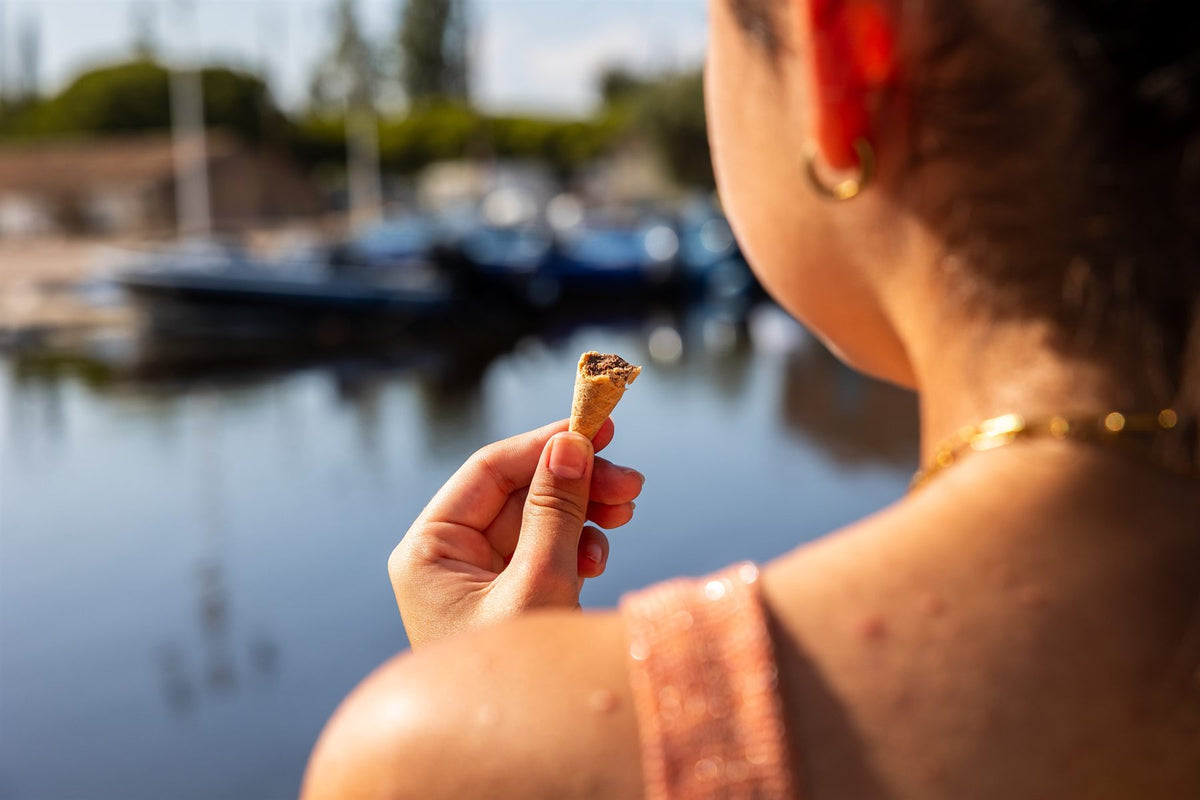 Le bout du cornet de glace, la meilleure partie, sur le port